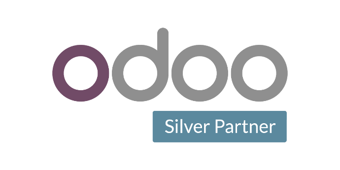 Odoo Silver Partner Qatar